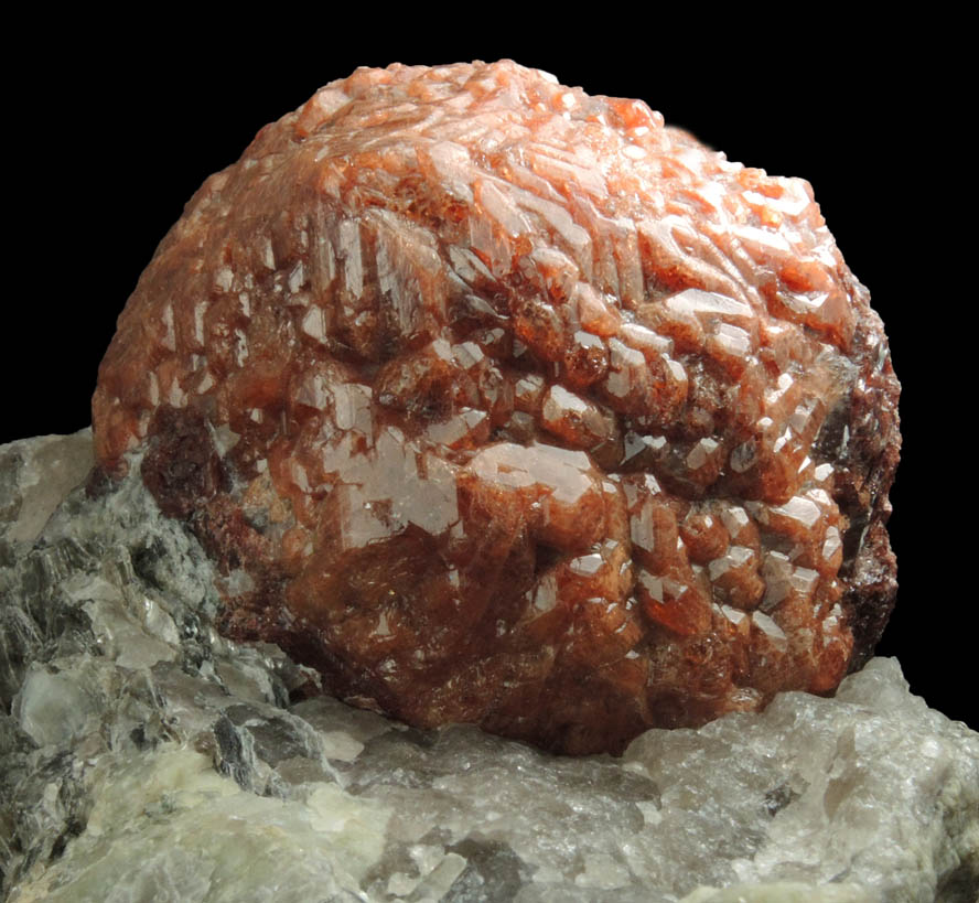 Detail view of mineral Almandine Garnet in Muscovite-Quartz matrix for sale from excavation for bank on South Street in lower Manhattan Island, New York City, New York County, New York