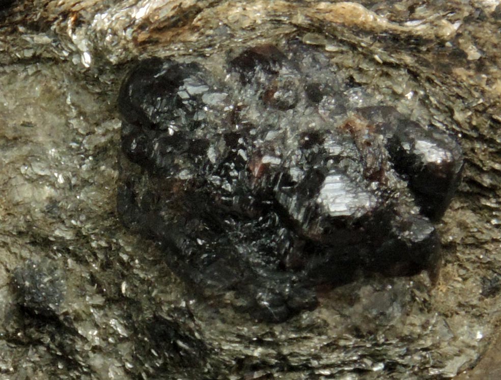 Detail view of mineral Almandine Garnet in schist for sale from near the Spuyten Duyvil, northern Manhattan Island, New York City, New York County, New York