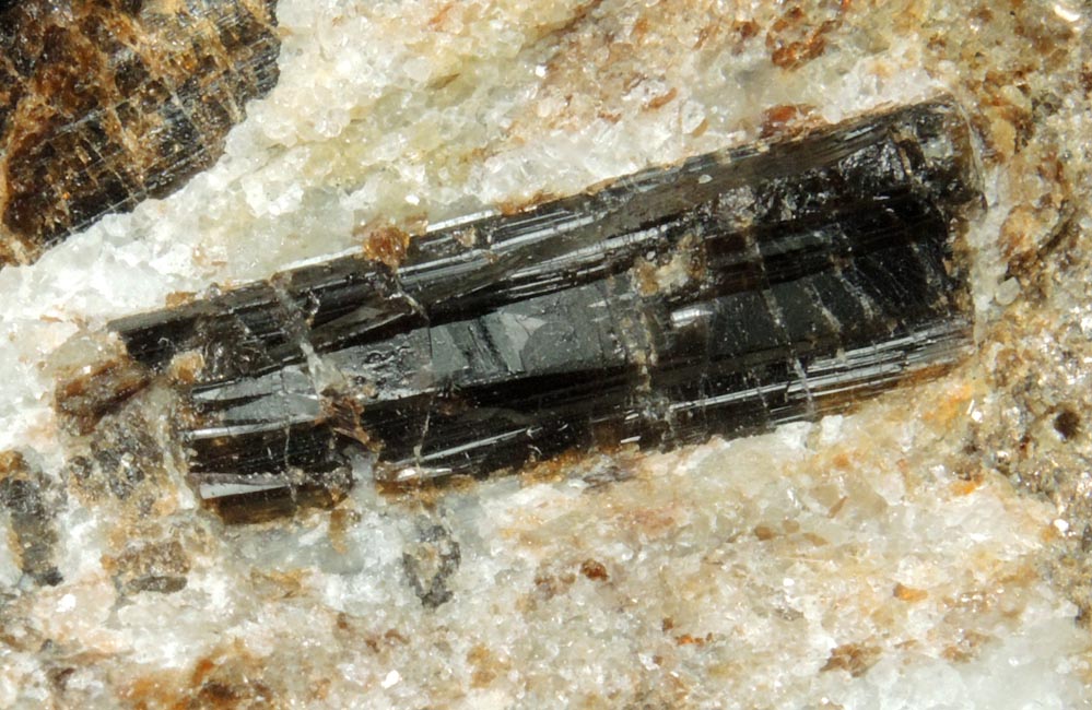 Detail view of mineral Dravite-Uvite Tourmaline in Inwood Marble for sale from northwest corner of 207 Street and Broadway, Manhattan Island, New York City, New York County, New York