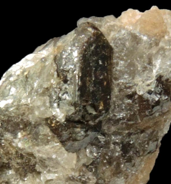 Detail view of mineral Monazite-(Ce) for sale from Harlem Speedway, northeastern shore of Manhattan Island, New York City, New York County, New York