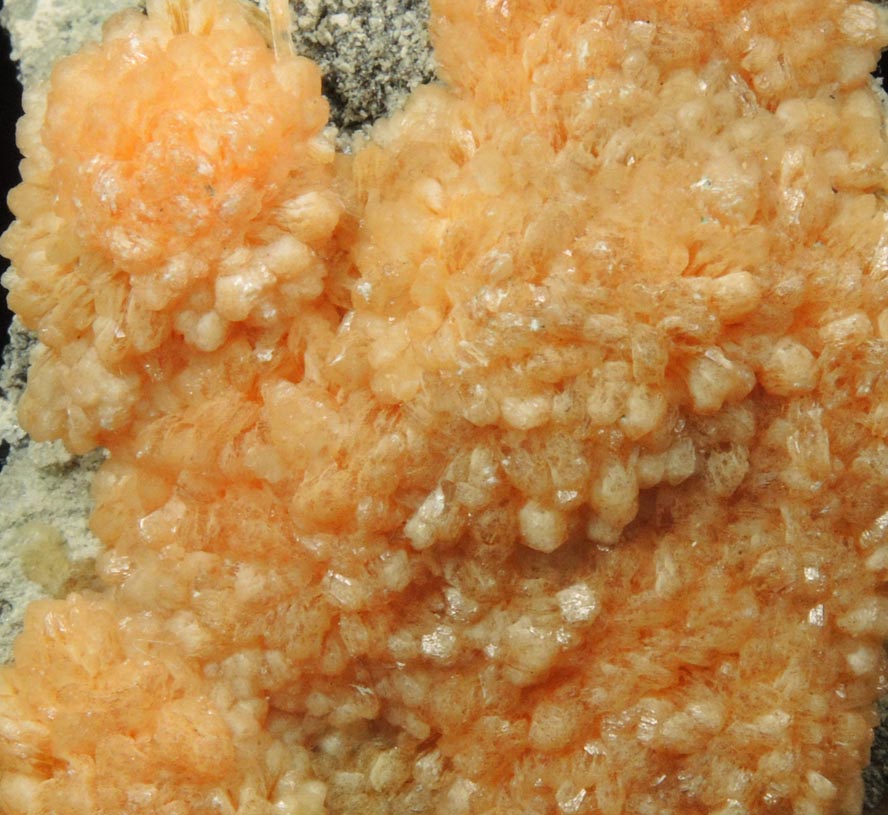 Detail view of mineral Stilbite for sale from Water Tunnel No.3 under Manhattan Island, New York City, New York County, New York