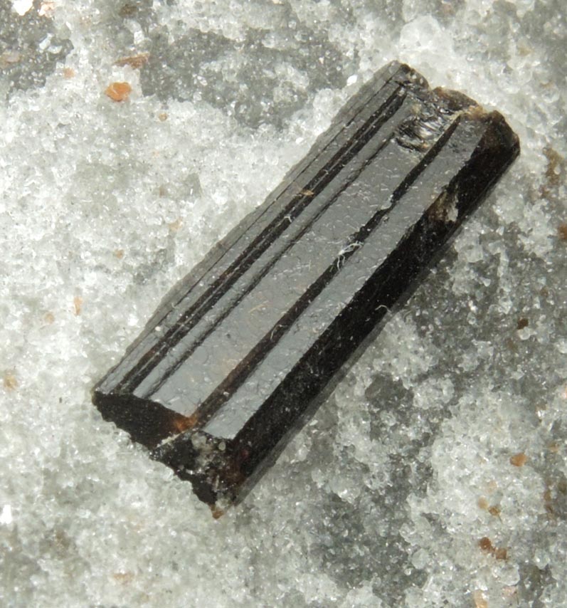 Detail view of mineral Dravite-Uvite Tourmaline in Inwood Marble for sale from Harlem Ship Canal excavation, norther Manhattan Island, New York City, New York County, New York