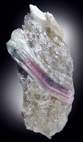 Mineral Specimens: Elbaite var. Watermelon Tourmaline from Berry-Havey Quarry, East Poland, Maine