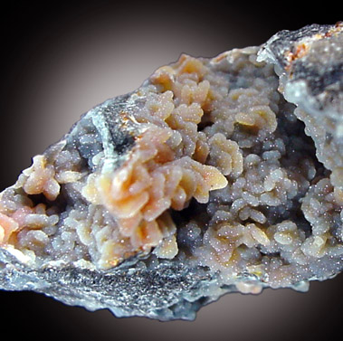 Mineral Specimens: Wulfenite with Quartz coating from Finch Mine, Hayden, Arizona