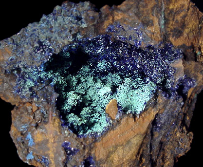 Mineral Specimens: Azurite from Phelps Dodge Morenci Mine, Morenci, Arizona