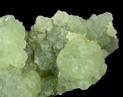 Prehnite from Lane's Quarry, Westfield, Hampden County, Massachusetts