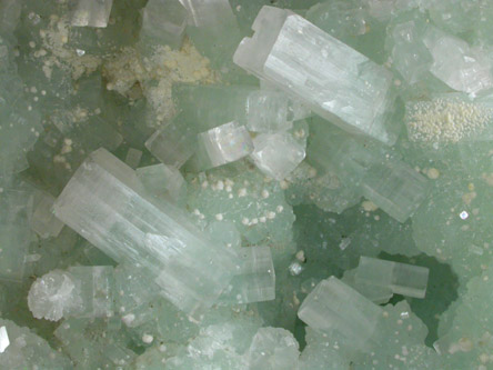 Apophyllite on Prehnite from Mumbai (formerly Bombay), Maharashtra, India