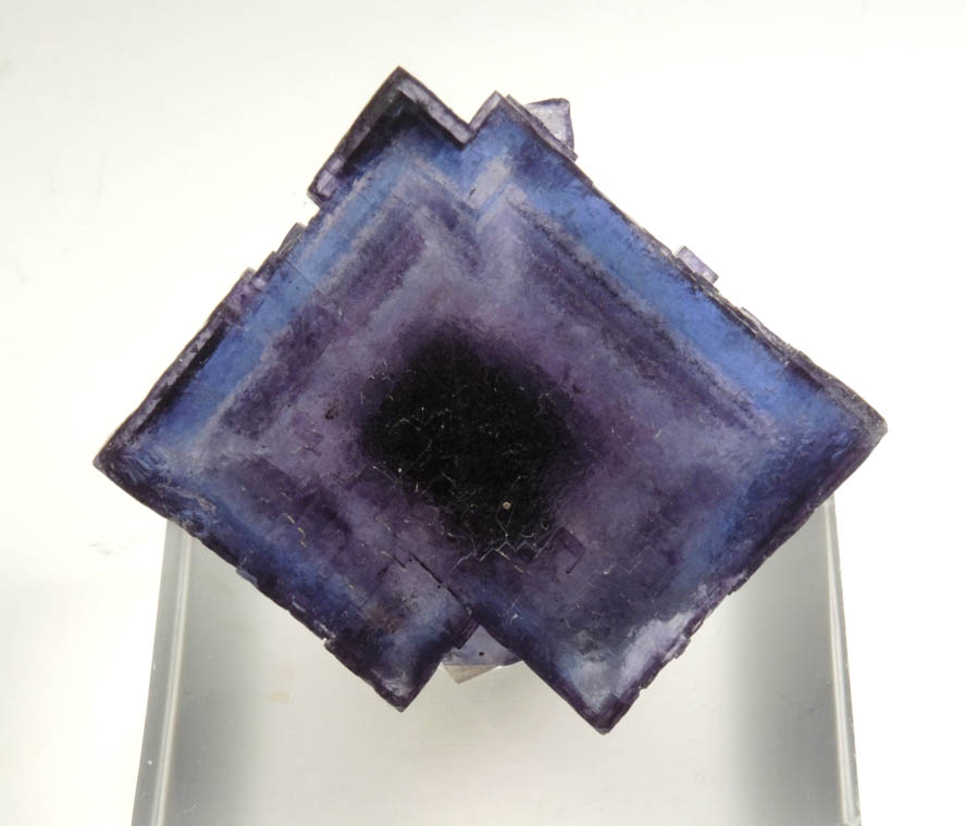 Fluorite (bi-colored zoned crystals) from Denton Mine, Rosiclare Level, Harris Creek District, Hardin County, Illinois