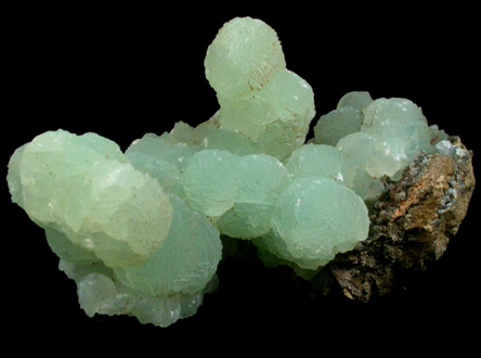 Prehnite from (New Street Quarry), Paterson, Passaic County, New Jersey