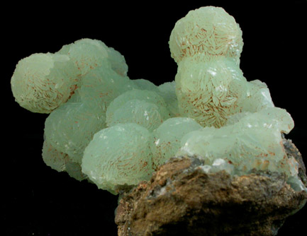 Prehnite from (New Street Quarry), Paterson, Passaic County, New Jersey