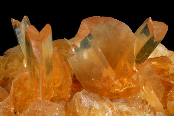 Gypsum var. Selenite (twinned crystals) from Las Salinas de Paracas, Pisco, Ica Department, Peru