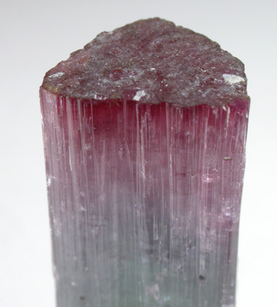 Elbaite Tourmaline from Pederneira Mine, Sao Jose da Safira, Minas Gerais, Brazil