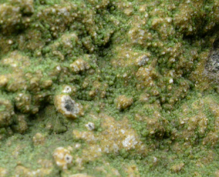 Hydromagnesite-Calcite-Dolomite var. Hydrodolomite from Texas, State Line District, Lancaster County, Pennsylvania