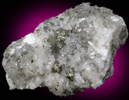 Pyrite on Calcite from Pint's Quarry, Raymond, Black Hawk County, Iowa