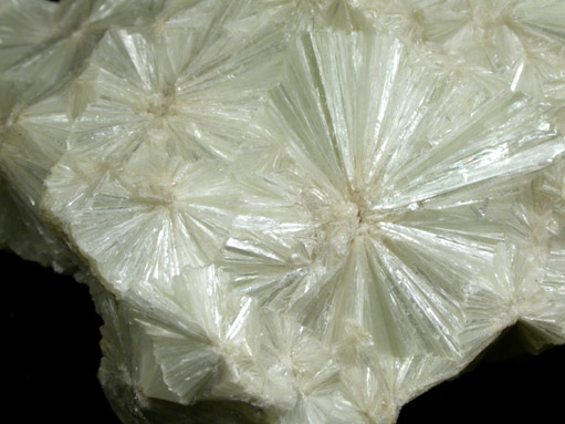 Pyrophyllite from Stanley County, North Carolina