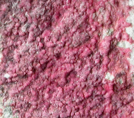 Erythrite from Cobalt District, Ontario, Canada