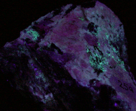 Autunite from Deshong's Quarry, Leiperville, Delaware County, Pennsylvania