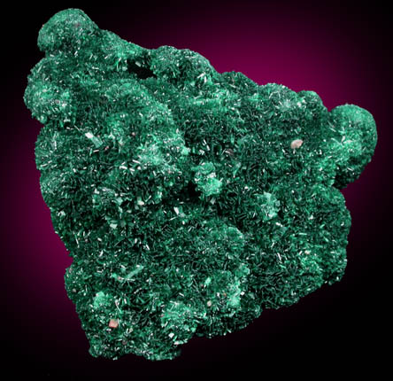 Atacamite from Mount Gunson, South Australia, Australia