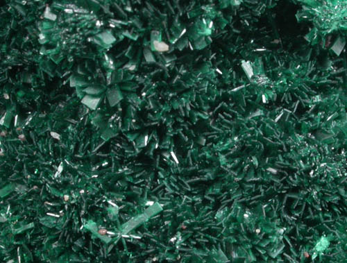 Atacamite from Mount Gunson, South Australia, Australia