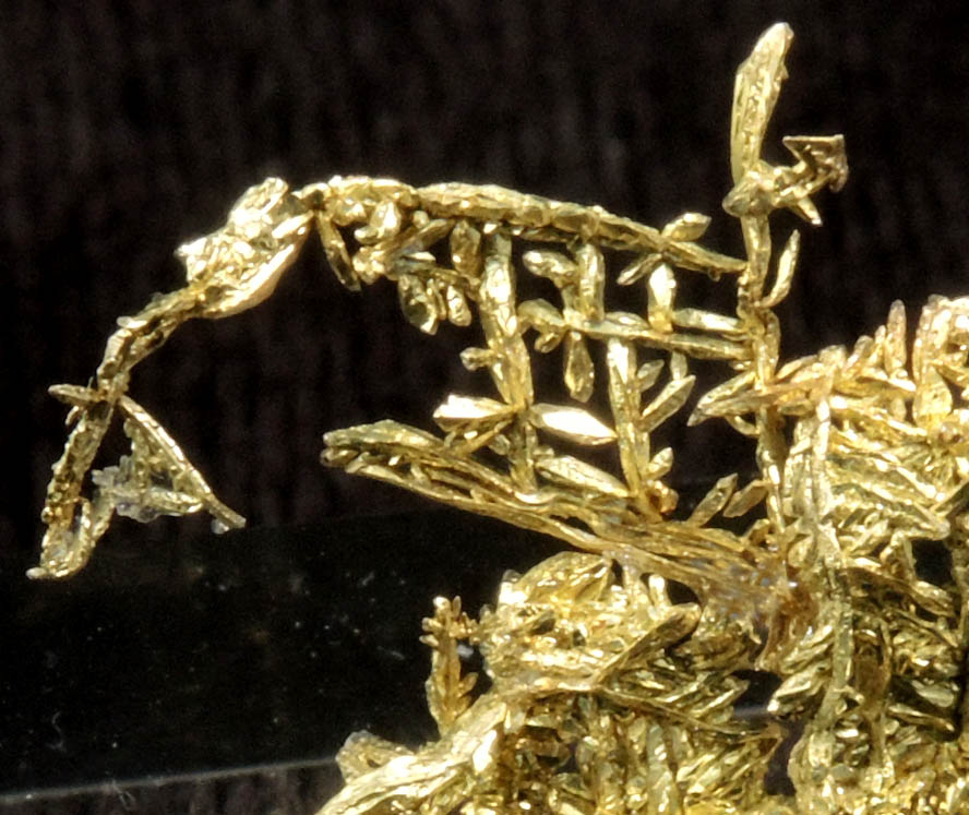 Gold from Ace Of Diamonds Mine, Swauk District, Kittitas County, Washington