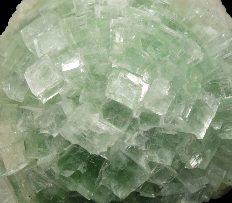 Apophyllite from Momin Akhada, near Rahuri, 50 km north of Ahmednagar, Maharashtra, India