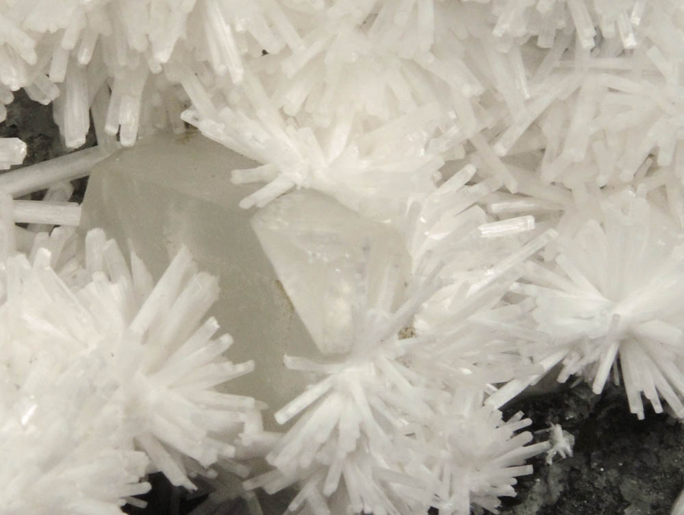 Natrolite with Calcite from Millington Quarry, Bernards Township, Somerset County, New Jersey