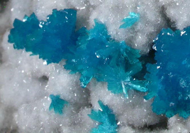 Cavansite on Stilbite-Ca from Wagholi Quarry, Maharashtra, India