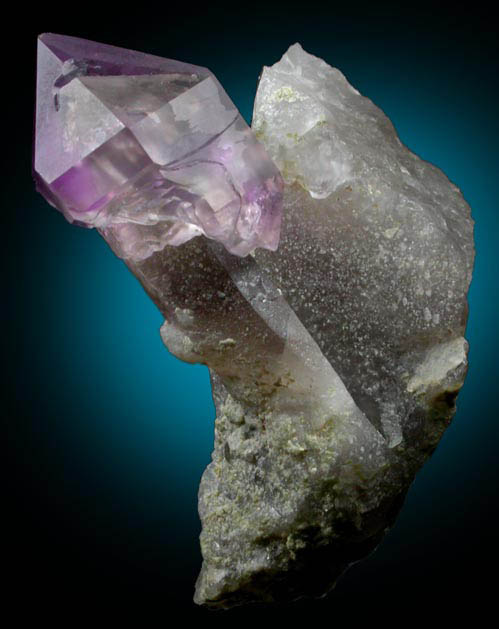 Quartz (Smoky-Amethyst Scepter) on Smoky Quartz matrix from Little Gem Mine, Upper Rader Creek, Jefferson County, Montana