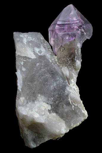 Quartz (Smoky-Amethyst Scepter) on Smoky Quartz matrix from Little Gem Mine, Upper Rader Creek, Jefferson County, Montana