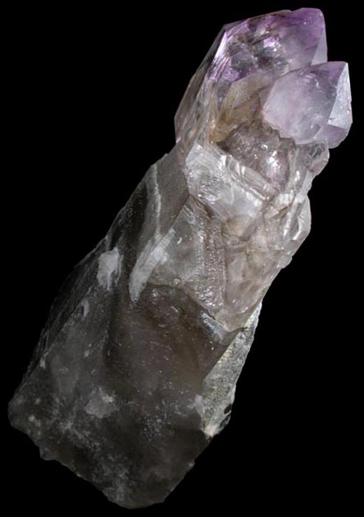 Quartz (Smoky-Amethyst Scepter) from Little Gem Mine, Upper Rader Creek, Jefferson County, Montana