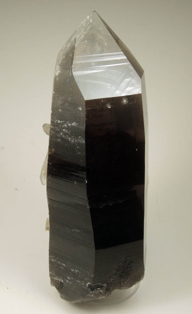 Quartz var. Smoky Quartz Dauphin-Law twin from Peter's Pocket, Bartlett, Carroll County, New Hampshire