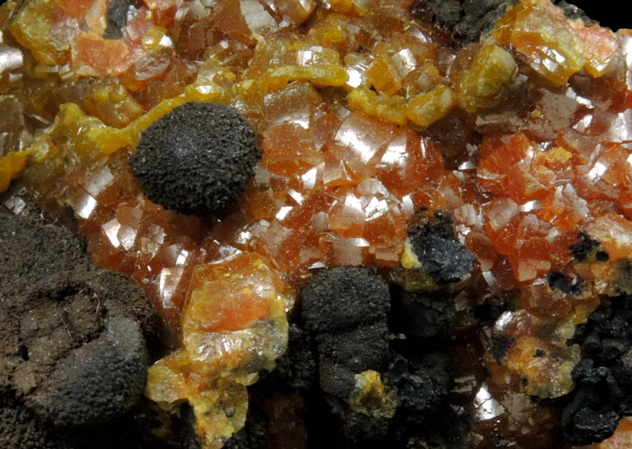 Mimetite var. Campylite on Psilomelane from Drygill Mine, Caldbeck Fells, Cumbria, England