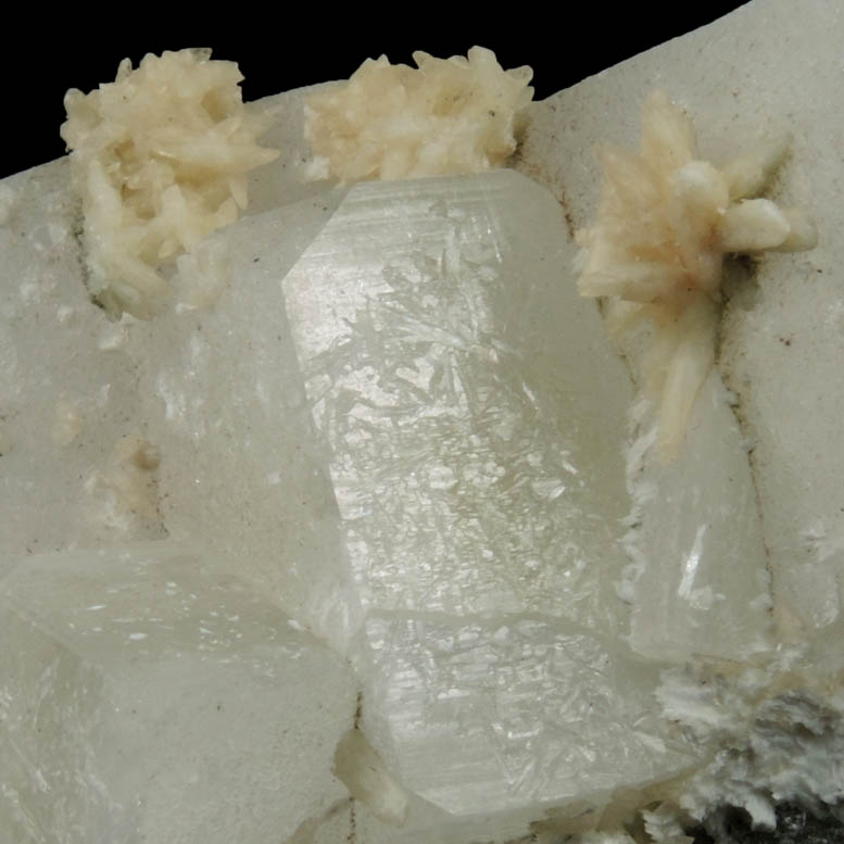 Apophyllite with Aragonite from Prospect Park Quarry, Prospect Park, Passaic County, New Jersey