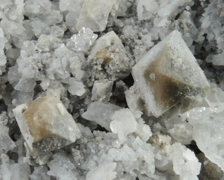 Scheelite on Quartz from East Camp Bird Mine, Ouray, Ouray County, Colorado