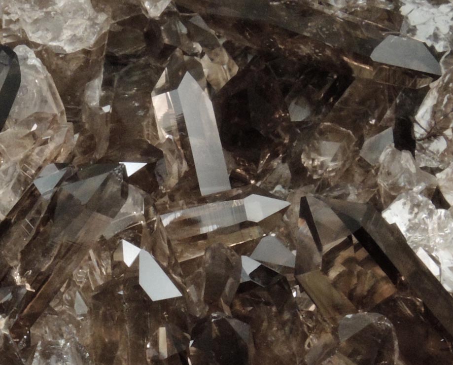 Quartz var. Smoky Quartz from Smoky Bear Quartz Claim, Sierra Blanca, White Mountain Wilderness, Lincoln County, New Mexico