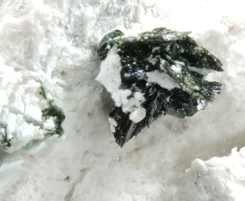 Volborthite from Milpillas Mine, Cuitaca, Sonora, Mexico