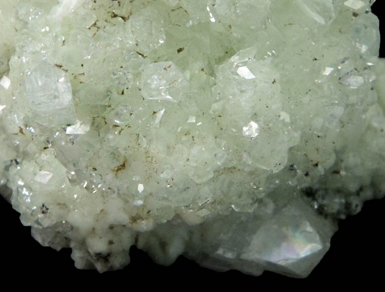 Apophyllite on Prehnite from Millington Quarry, Bernards Township, Somerset County, New Jersey