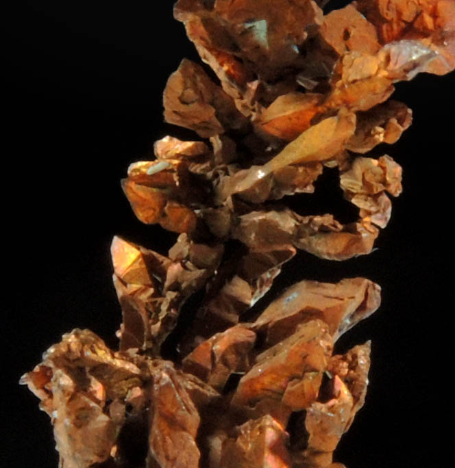 Copper (naturally crystallized native copper crystals) from Onganja Mine, Seeis, Khomas, Namibia