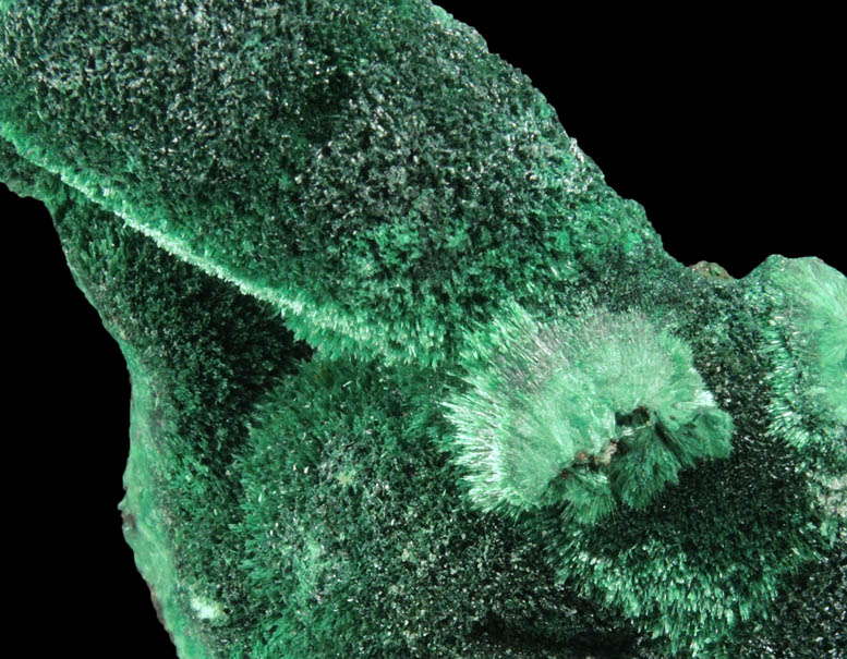 Malachite (primary) from Tsumeb Mine, Otavi-Bergland District, Oshikoto, Namibia