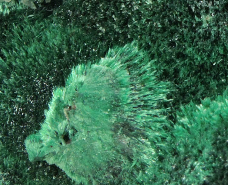 Malachite (primary) from Tsumeb Mine, Otavi-Bergland District, Oshikoto, Namibia