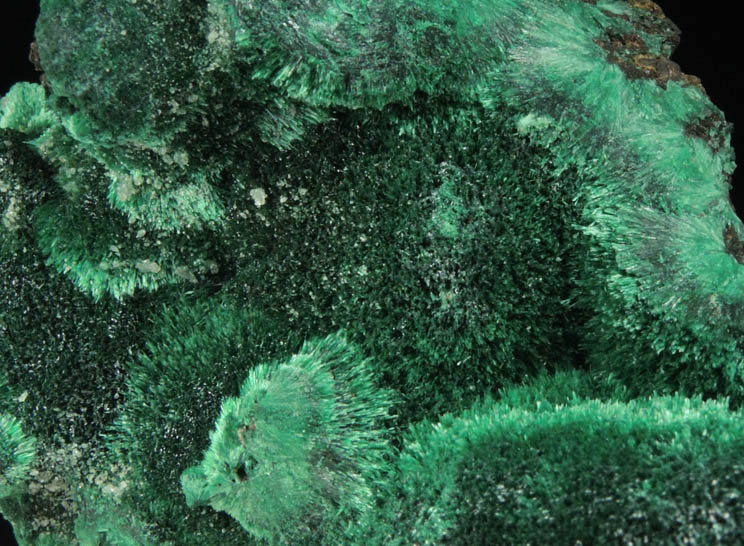 Malachite (primary) from Tsumeb Mine, Otavi-Bergland District, Oshikoto, Namibia