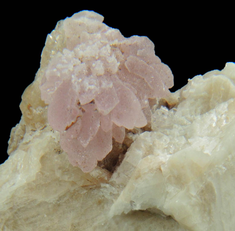 Quartz var. Rose Quartz Crystals from Plumbago Mountain, Newry, Oxford County, Maine