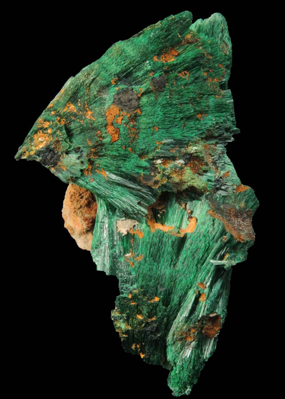 Malachite from Kerrouchene, Middle Atlas Mountains, Khnifra Province, Morocco