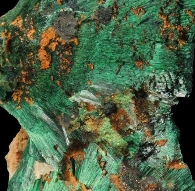 Malachite from Kerrouchene, Middle Atlas Mountains, Khnifra Province, Morocco