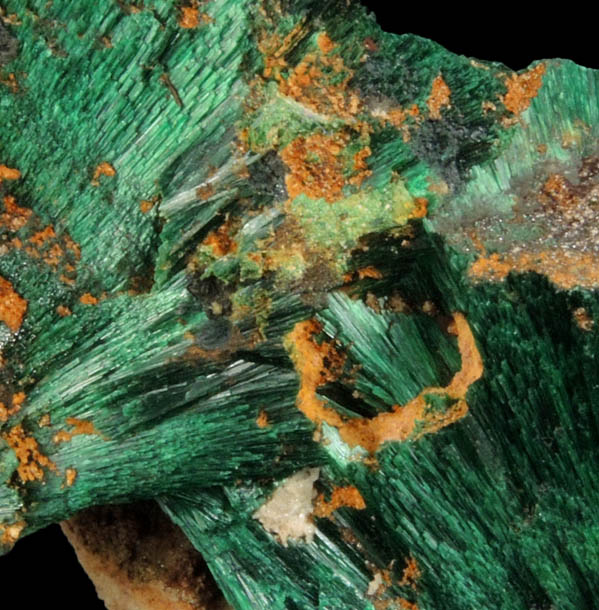 Malachite from Kerrouchene, Middle Atlas Mountains, Khnifra Province, Morocco