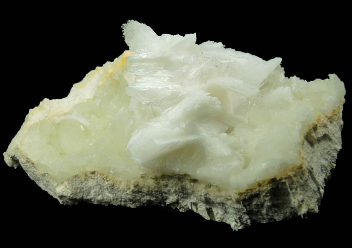 Pectolite on Datolite from Millington Quarry, Bernards Township, Somerset County, New Jersey