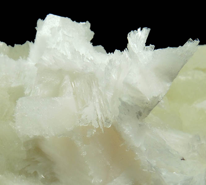 Pectolite on Datolite from Millington Quarry, Bernards Township, Somerset County, New Jersey