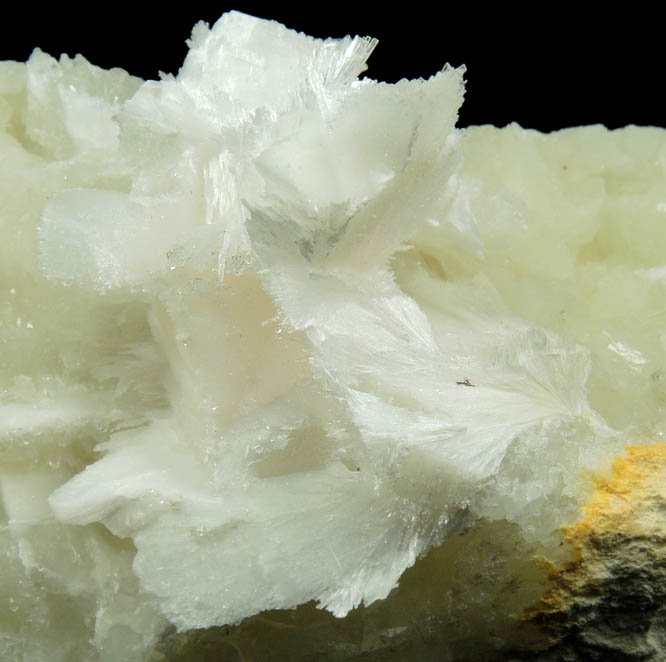 Pectolite on Datolite from Millington Quarry, Bernards Township, Somerset County, New Jersey