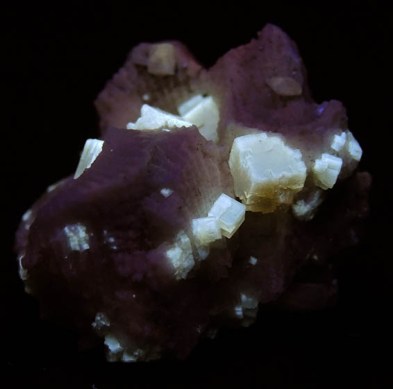 Fluorite on fossilized Coral from Pint's Quarry, Raymond, Black Hawk County, Iowa