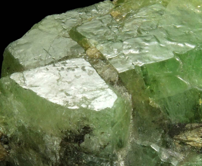 Grossular var. Tsavorite Garnet from Merelani Hills, near Arusha, Tanzania